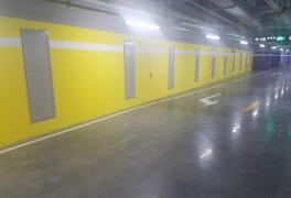 钢质樱桃视频在线免费